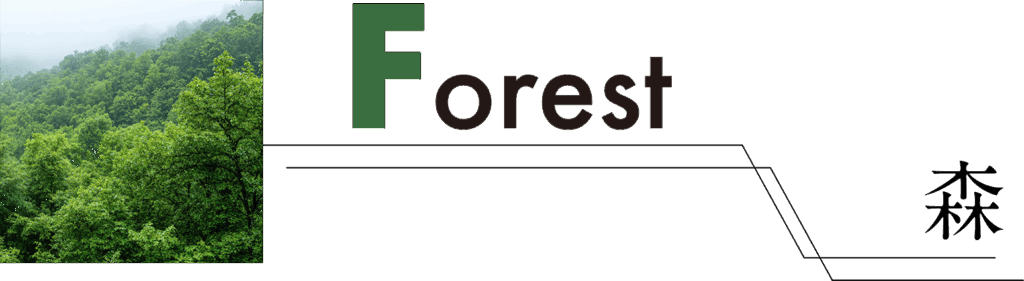 Forest 森